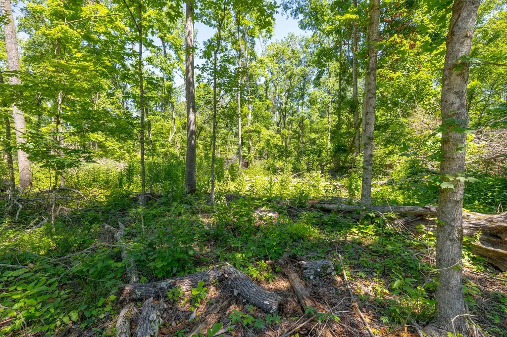 0 White Oak Road Stewart TN 37175