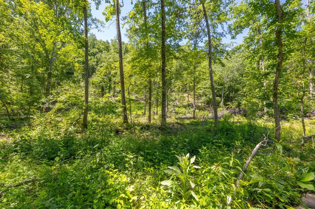 0 White Oak Road Stewart TN 37175