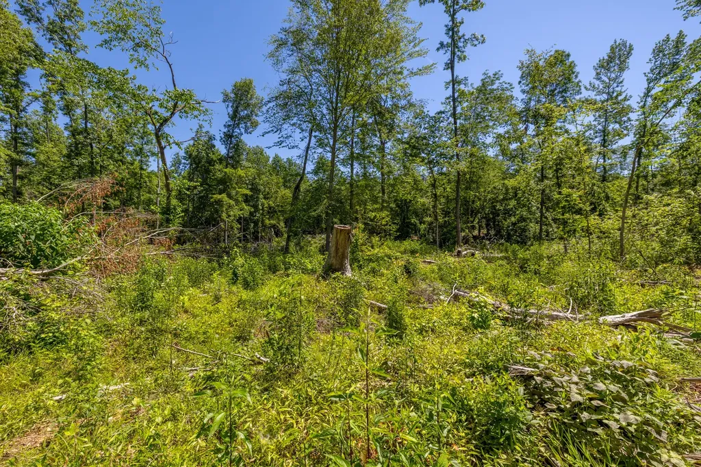 0 White Oak Road Stewart TN 37175