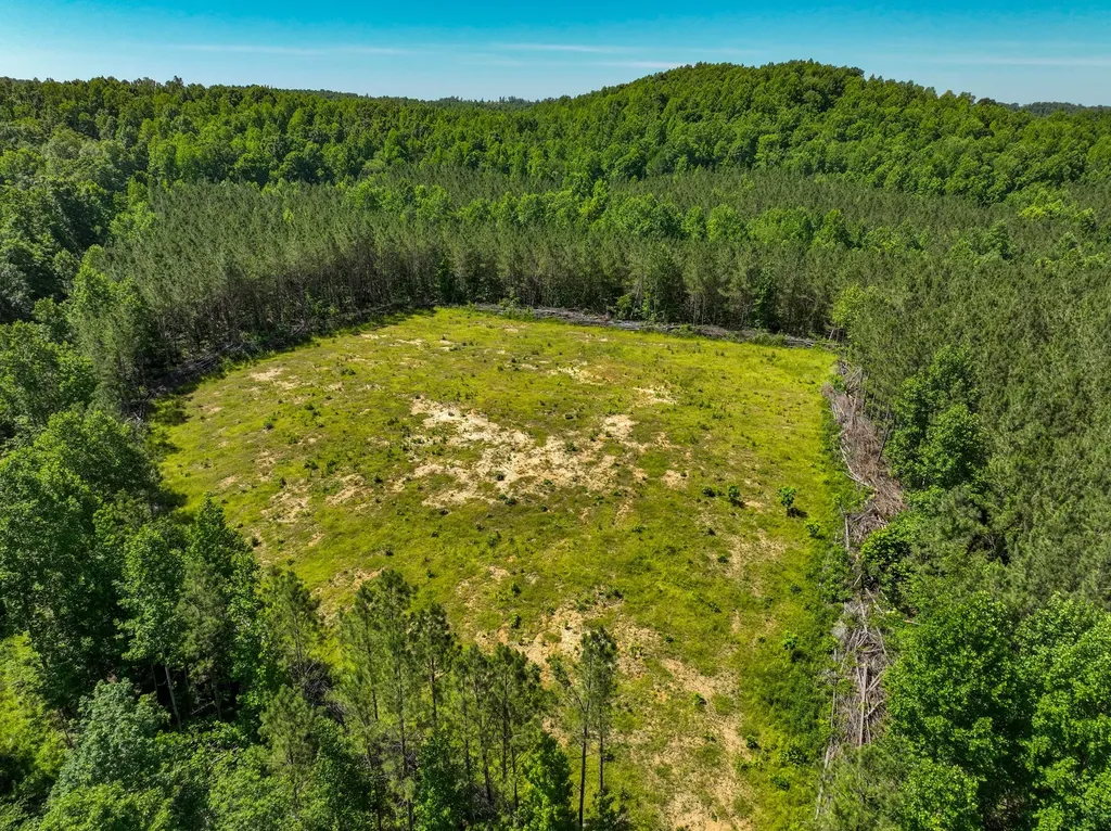 0 White Oak Road Stewart TN 37175