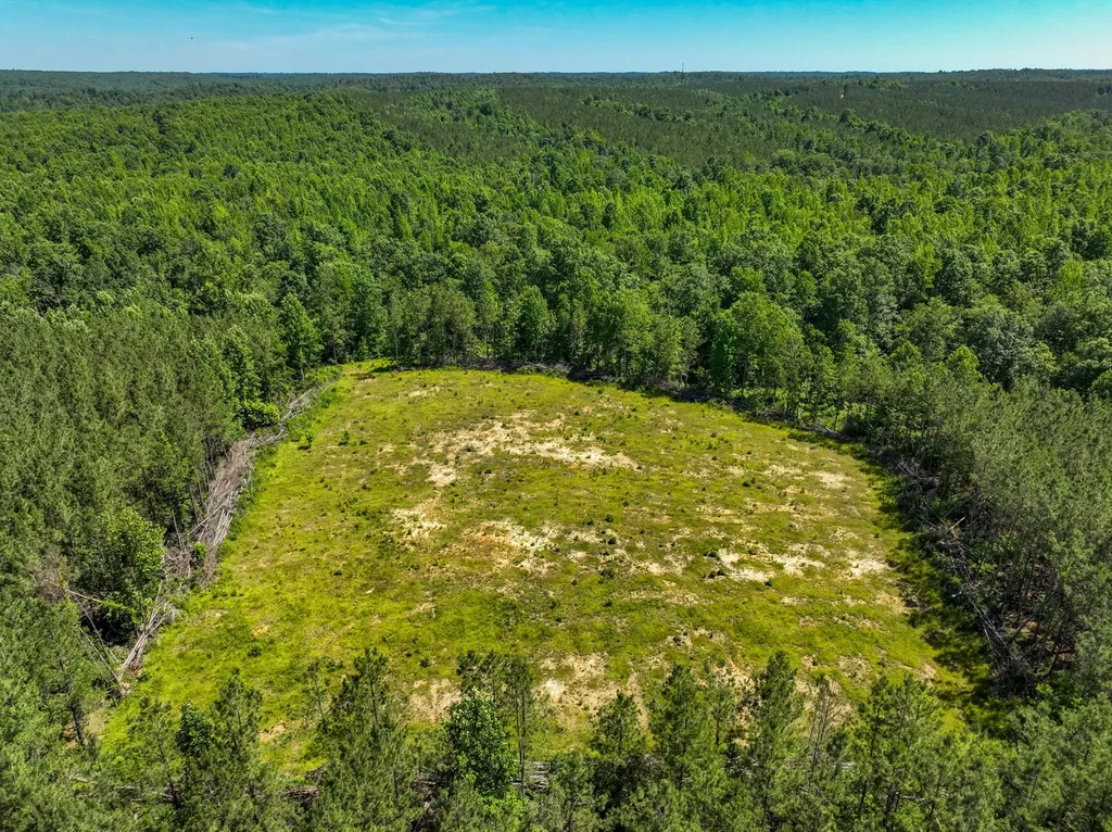 0 White Oak Road Stewart TN 37175