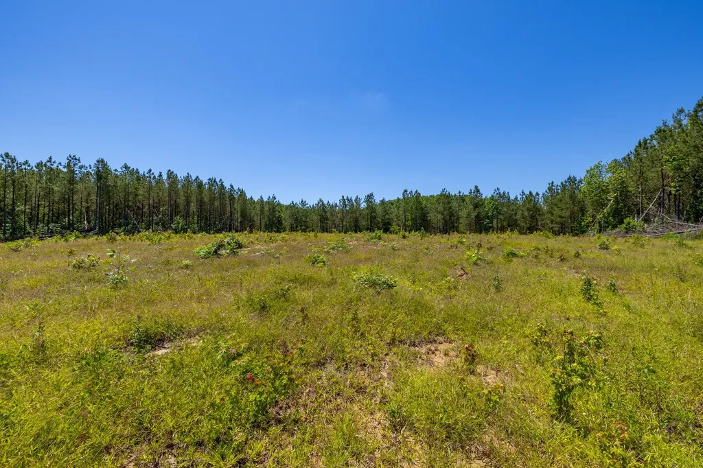 0 White Oak Road Stewart TN 37175