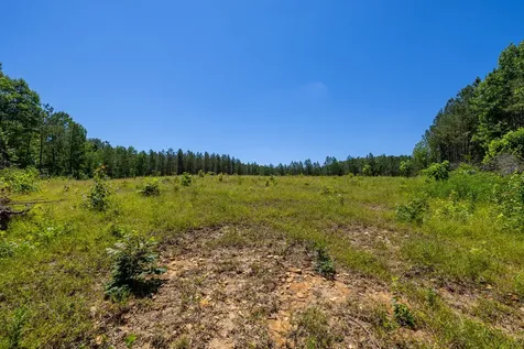 0 White Oak Road Stewart TN 37175