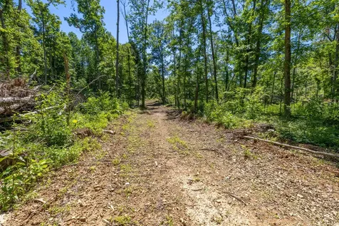0 White Oak Road Stewart TN 37175