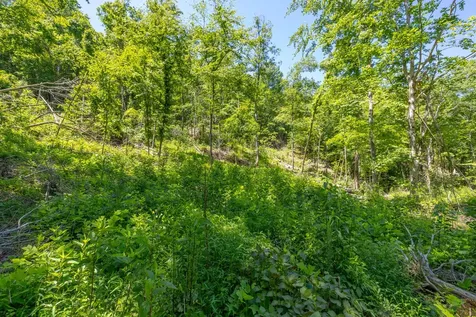 0 White Oak Road Stewart TN 37175