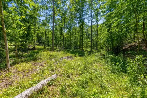 0 White Oak Road Stewart TN 37175