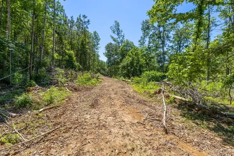 0 White Oak Road Stewart TN 37175