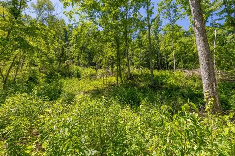 0 White Oak Road Stewart TN 37175