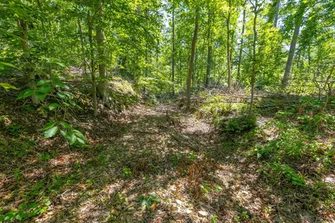 0 White Oak Road Stewart TN 37175