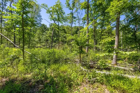 0 White Oak Road Stewart TN 37175