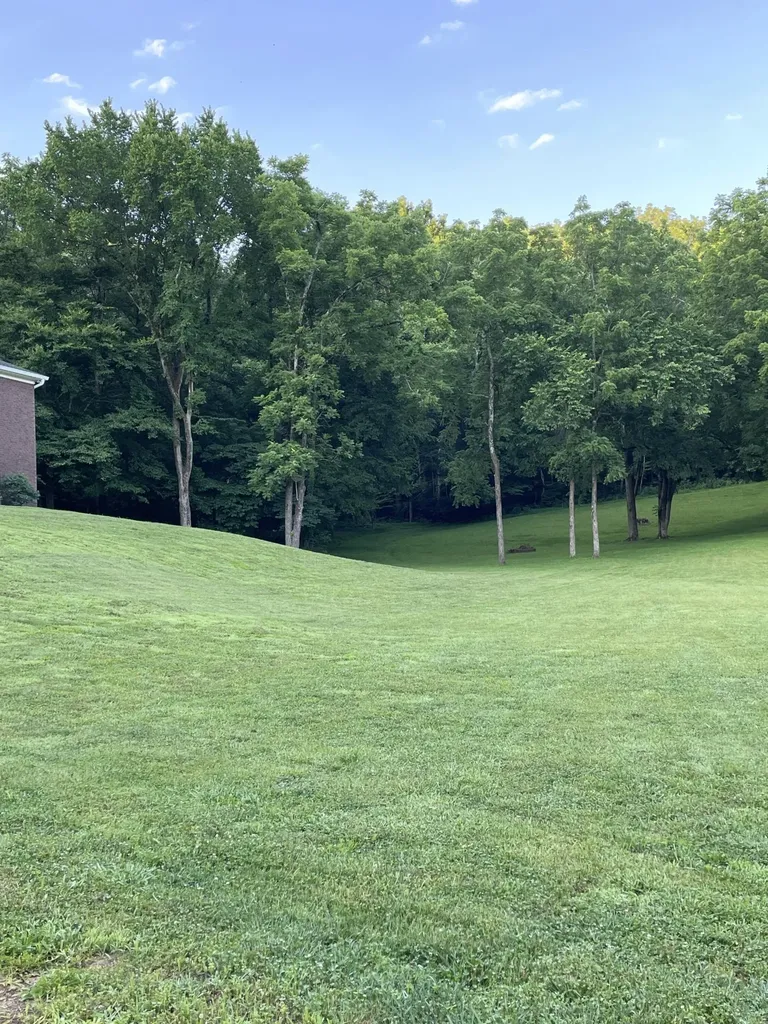 4050 Cantebury Drive Culleoka TN 38451