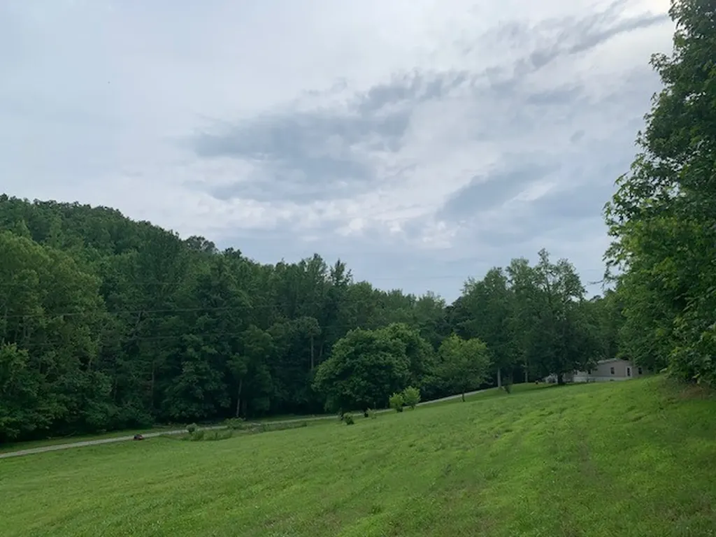 4805 Love Branch Road Hampshire TN 38461