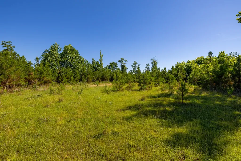 0 White Oak Road Stewart TN 37175