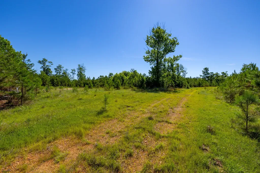 0 White Oak Road Stewart TN 37175