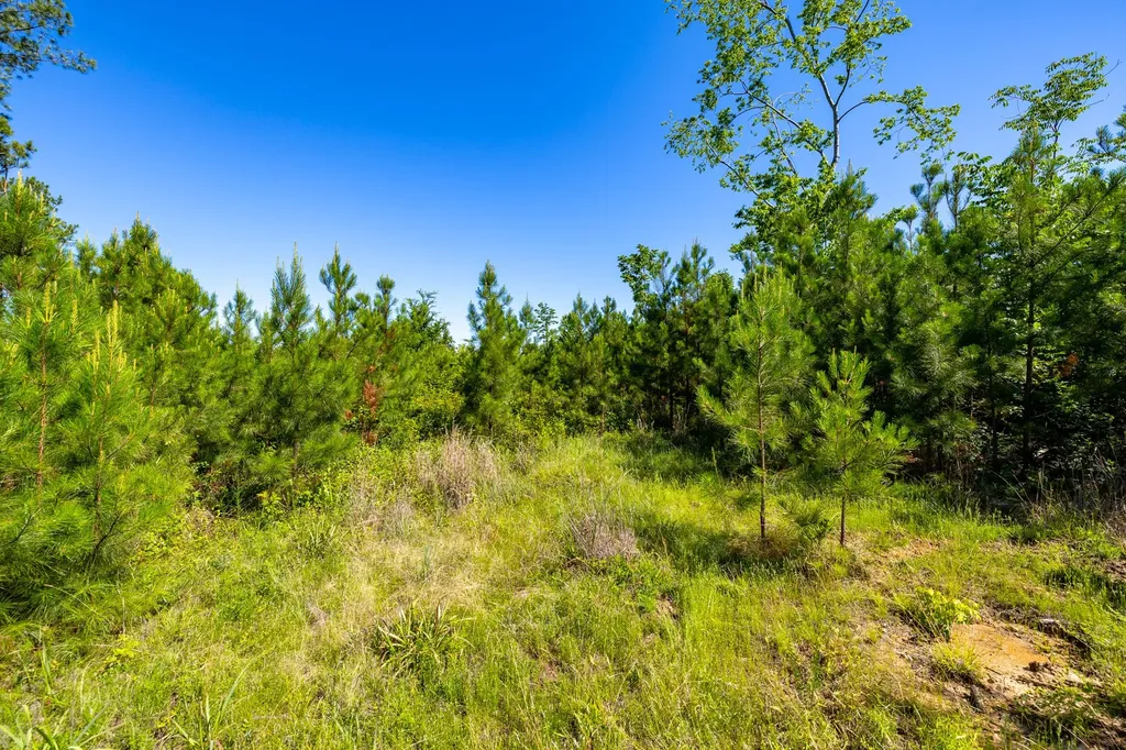 0 White Oak Road Stewart TN 37175