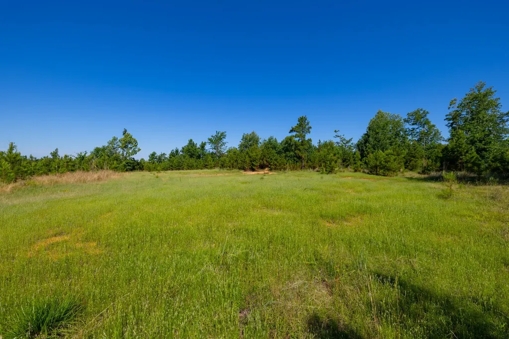 0 White Oak Road Stewart TN 37175