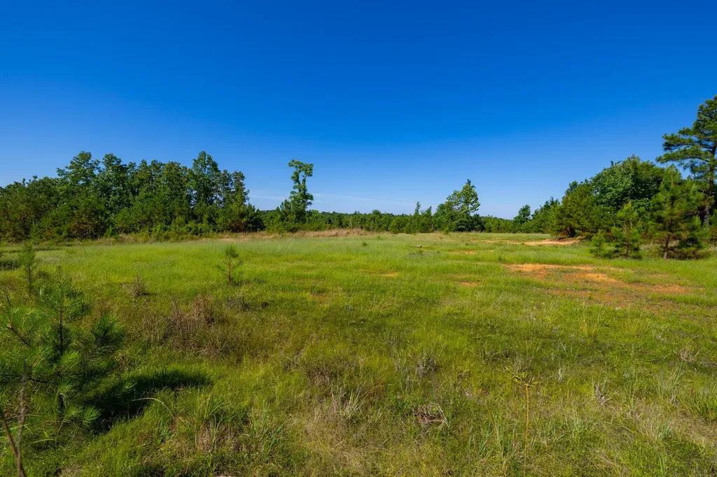 0 White Oak Road Stewart TN 37175