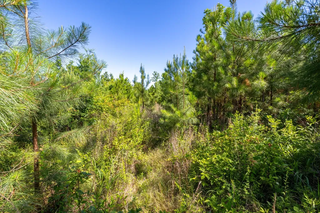 0 White Oak Road Stewart TN 37175