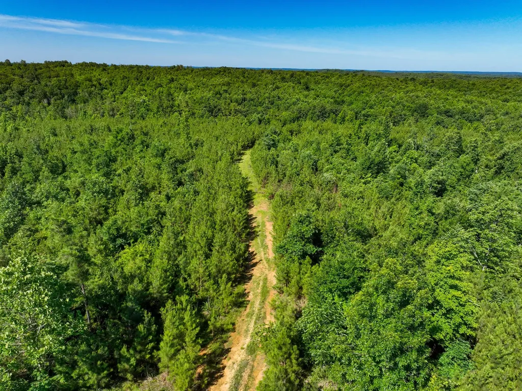 0 White Oak Road Stewart TN 37175