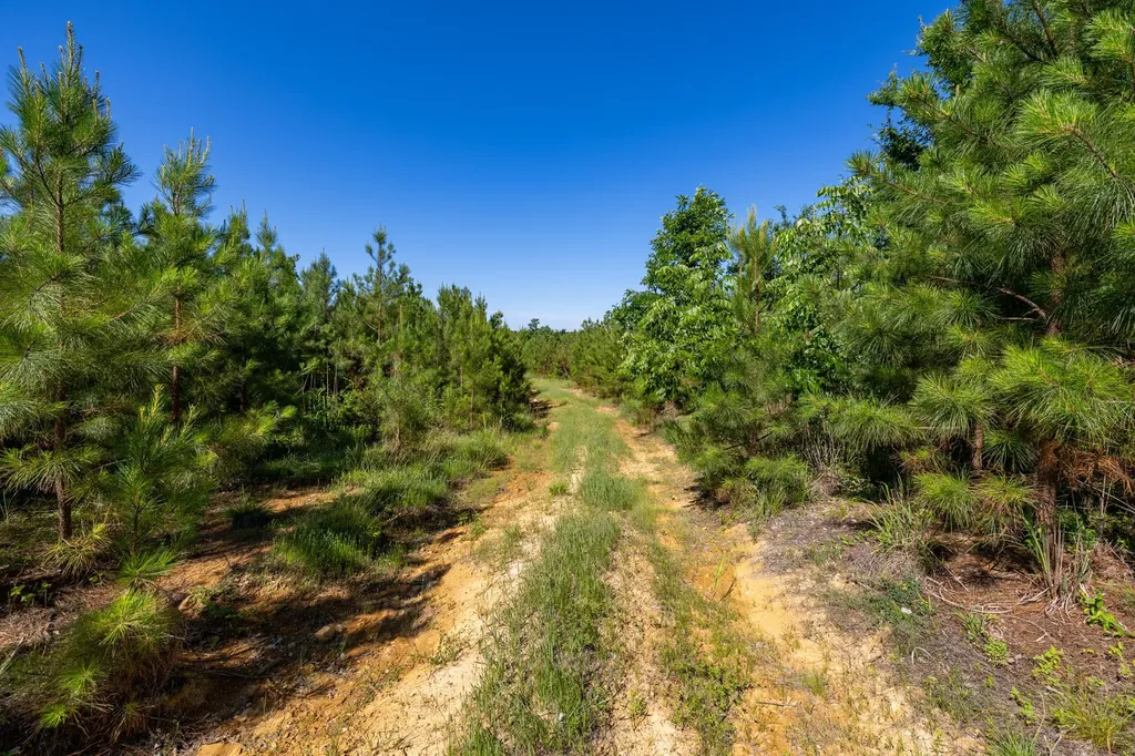 0 White Oak Road Stewart TN 37175