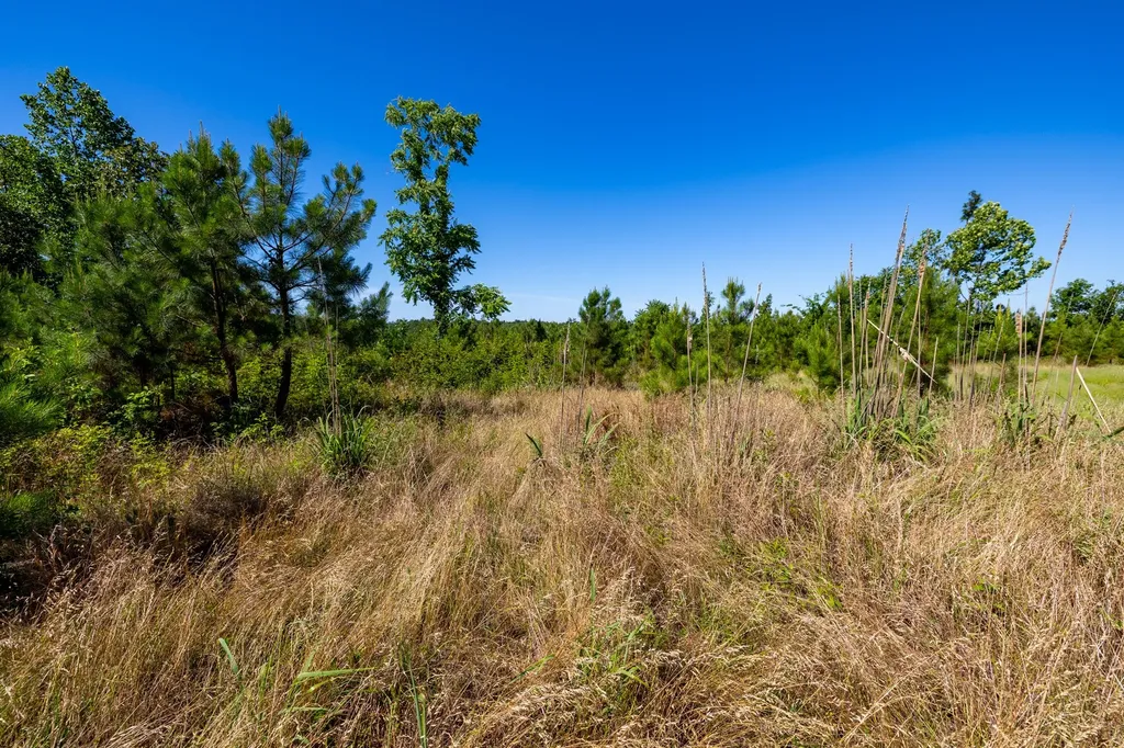 0 White Oak Road Stewart TN 37175