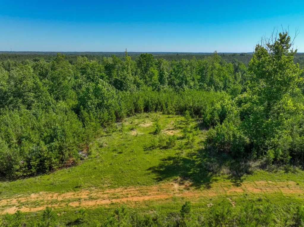 0 White Oak Road Stewart TN 37175