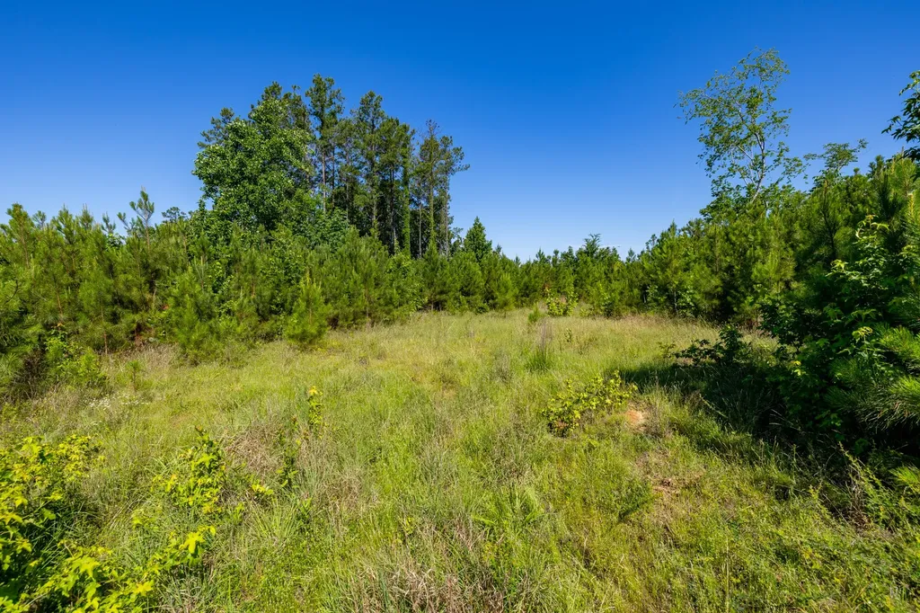 0 White Oak Road Stewart TN 37175
