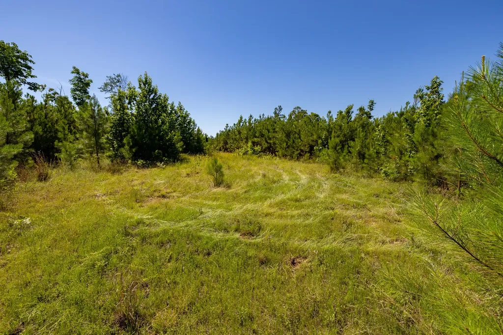 0 White Oak Road Stewart TN 37175