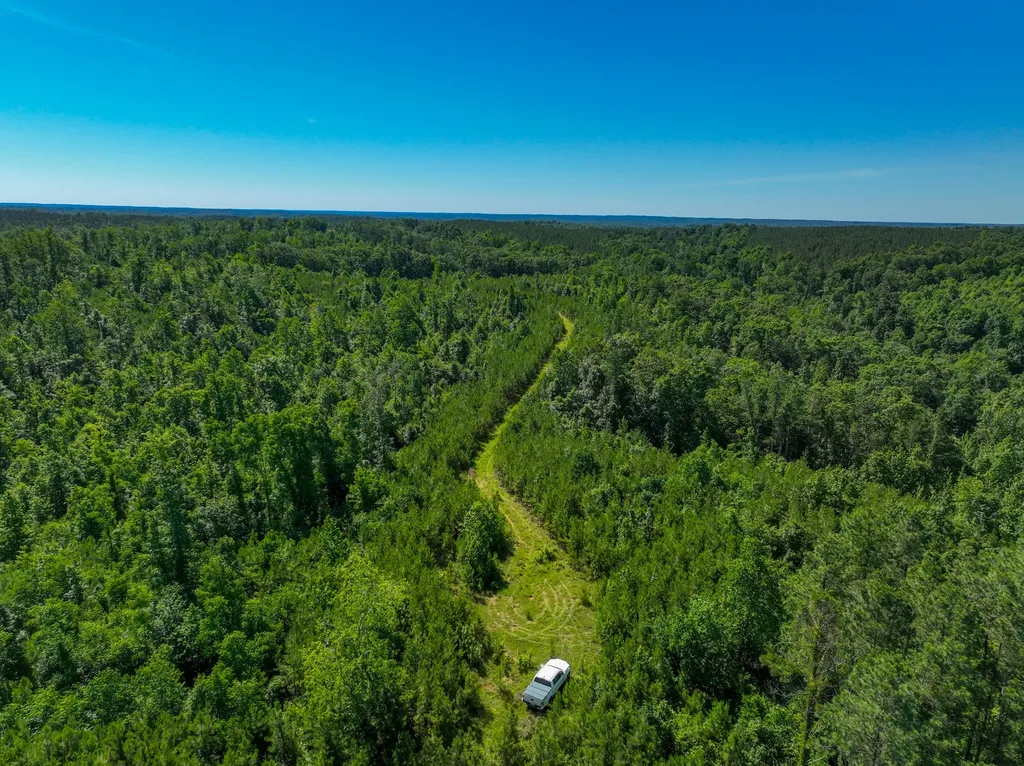 0 White Oak Road Stewart TN 37175