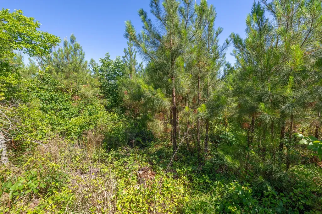 0 White Oak Road Stewart TN 37175