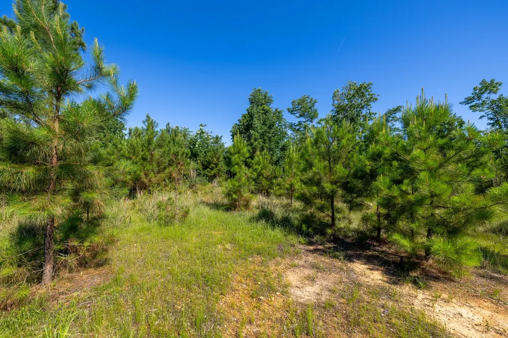 0 White Oak Road Stewart TN 37175