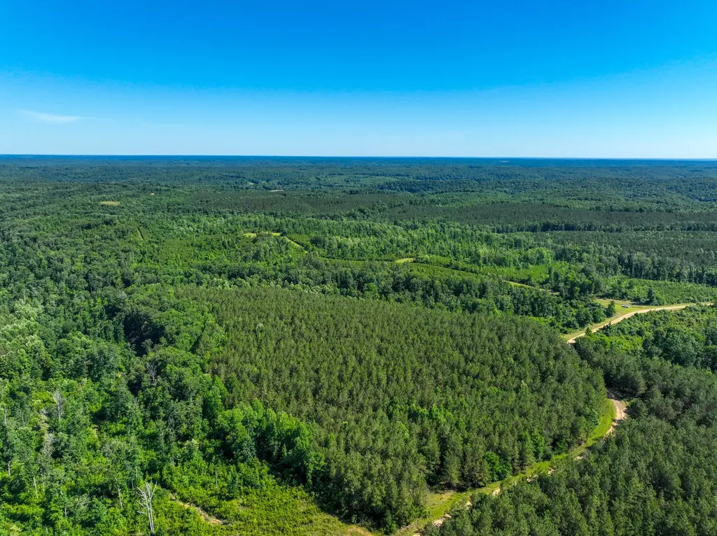 0 White Oak Road Stewart TN 37175