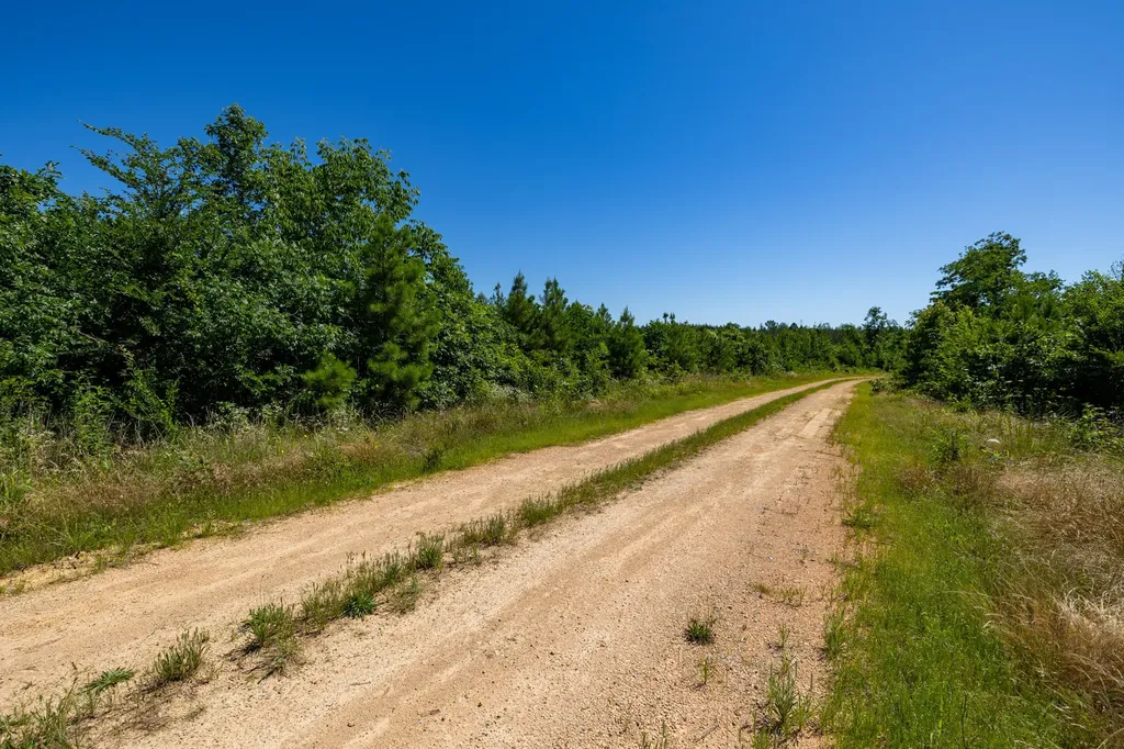 0 White Oak Road Stewart TN 37175