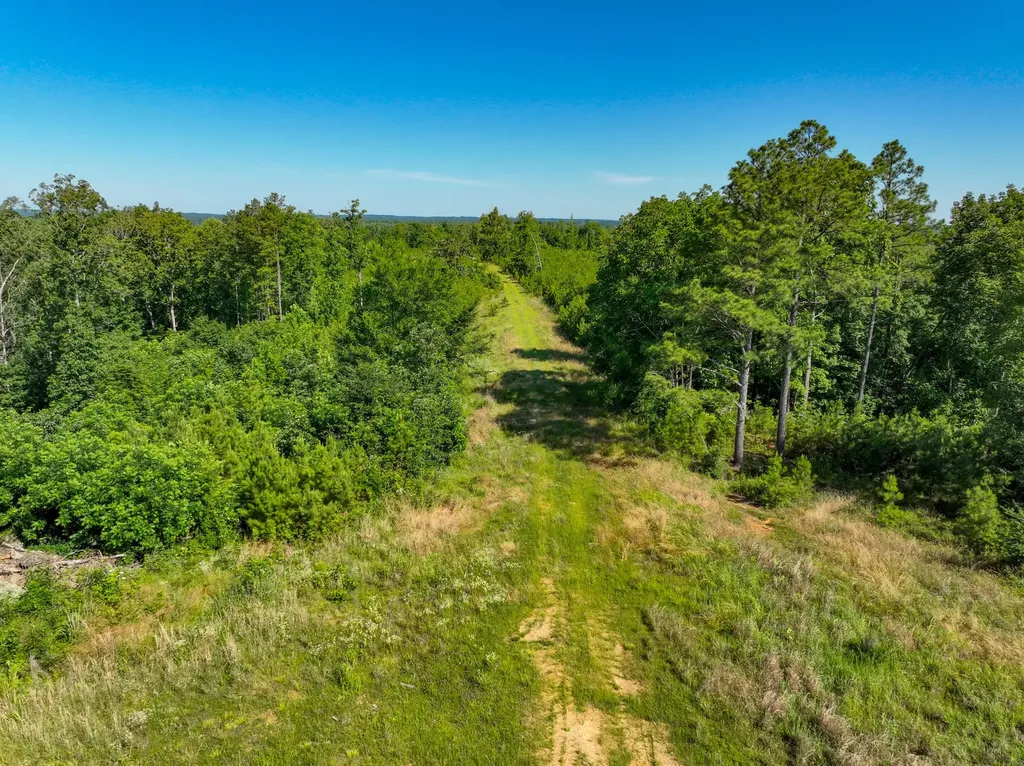 0 White Oak Road Stewart TN 37175
