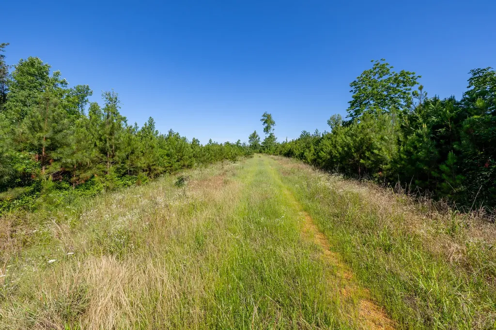 0 White Oak Road Stewart TN 37175
