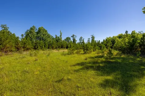 0 White Oak Road Stewart TN 37175