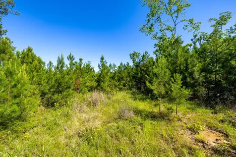 0 White Oak Road Stewart TN 37175