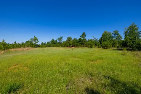 0 White Oak Road Stewart TN 37175