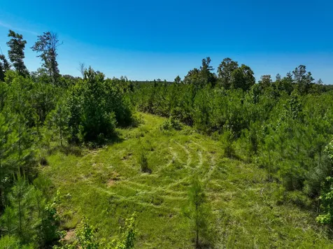 0 White Oak Road Stewart TN 37175