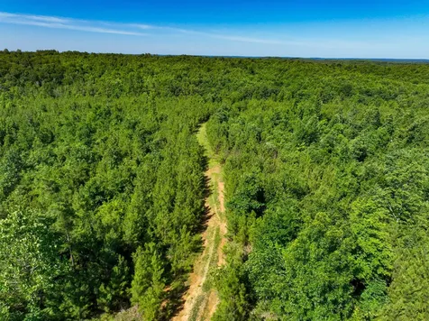 0 White Oak Road Stewart TN 37175