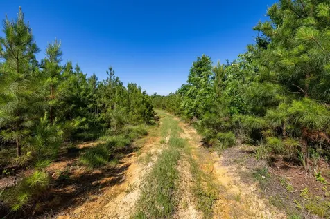 0 White Oak Road Stewart TN 37175