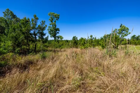 0 White Oak Road Stewart TN 37175