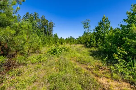 0 White Oak Road Stewart TN 37175