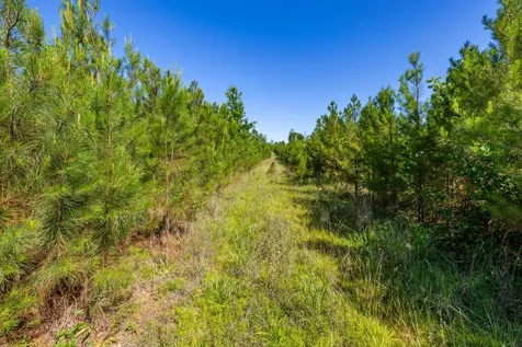 0 White Oak Road Stewart TN 37175