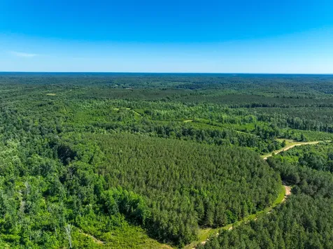 0 White Oak Road Stewart TN 37175
