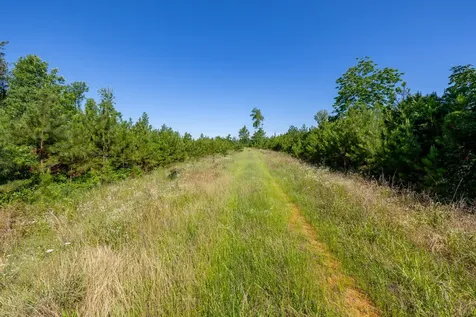 0 White Oak Road Stewart TN 37175
