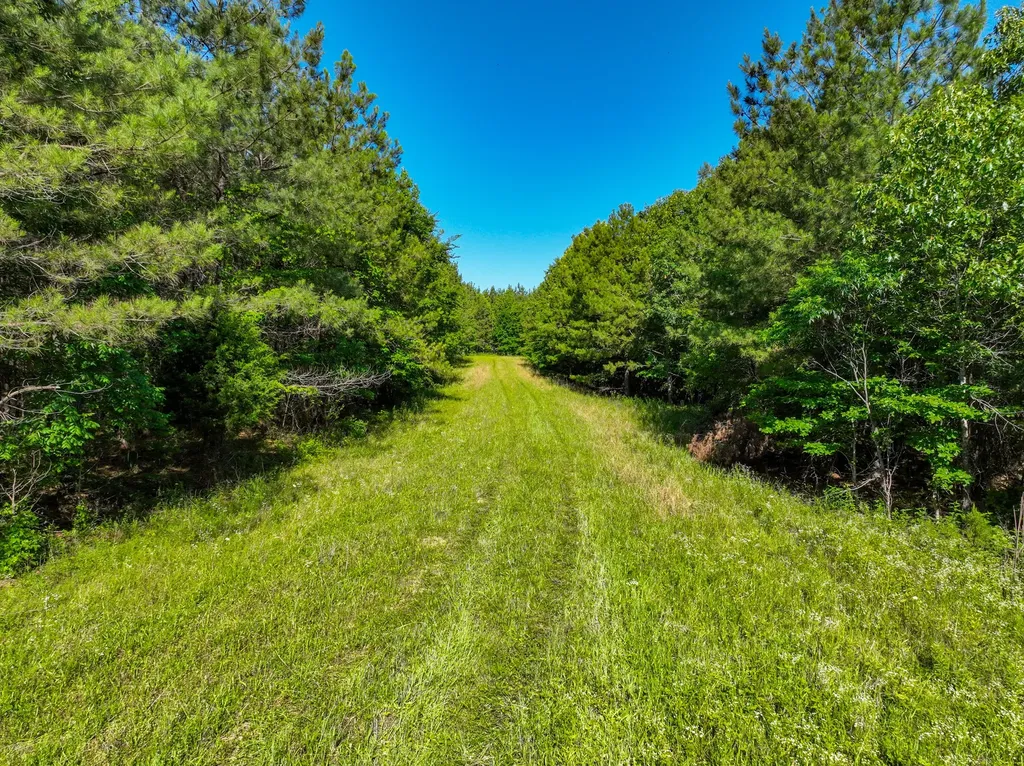 0 White Oak Road Stewart TN 37175