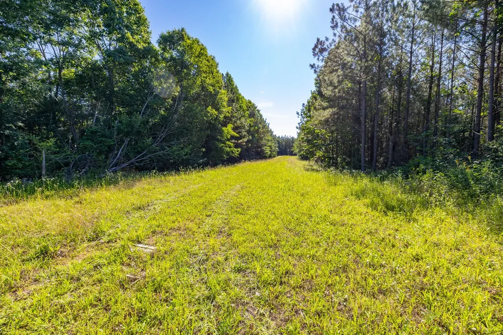 0 White Oak Road Stewart TN 37175