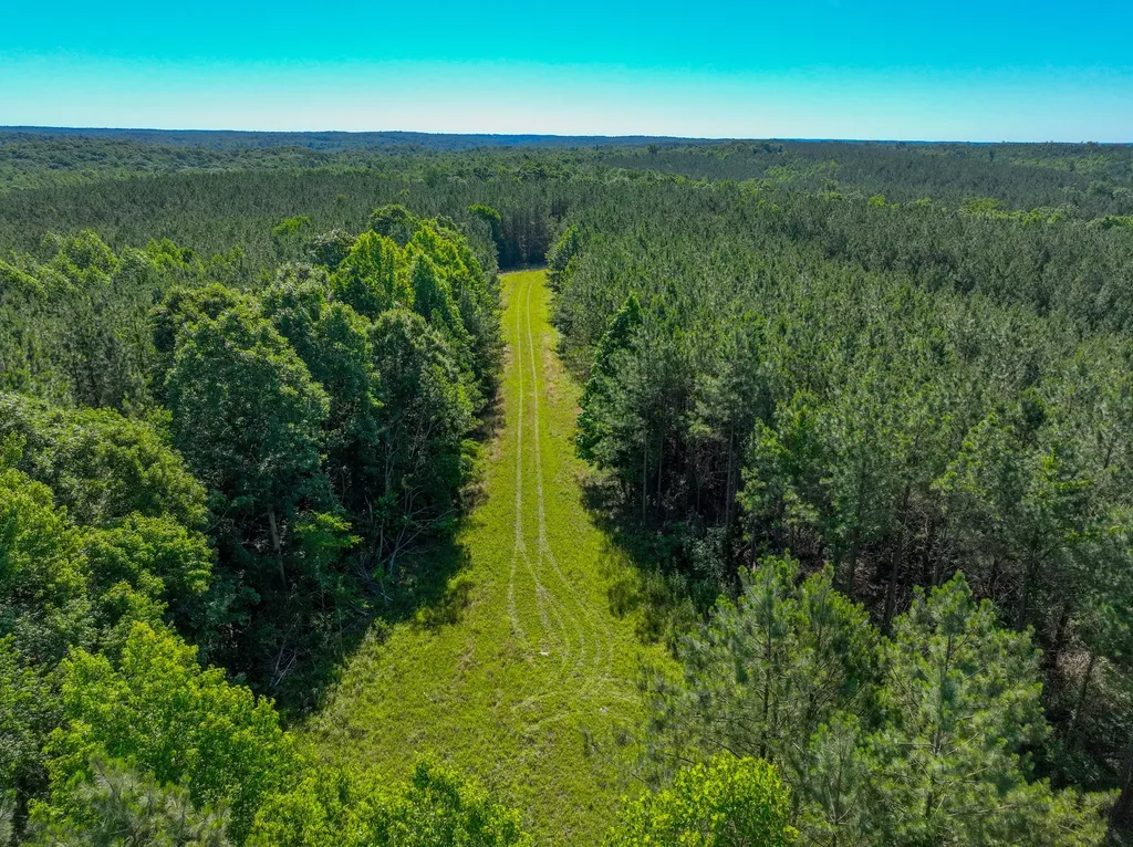 0 White Oak Road Stewart TN 37175