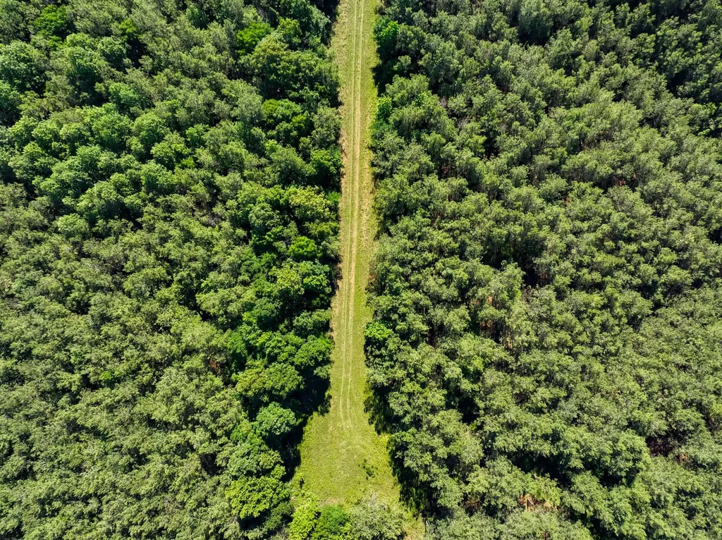 0 White Oak Road Stewart TN 37175